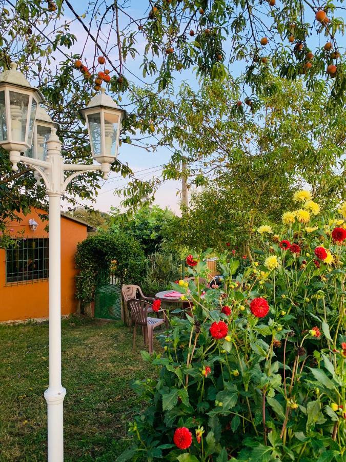 Vivienda Vacacional El Majo Siero 외부 사진